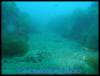 P1010026 WEB.jpg